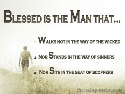 Multiplied Blessings